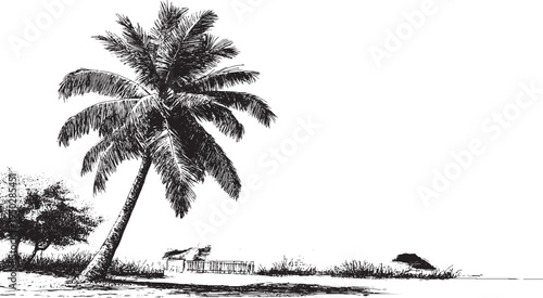 California palm tree, vector silhouette. This vector illustration can be used in any size you like for advertising, logos, and other work.