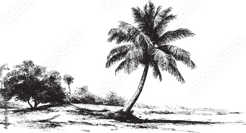 California palm tree, vector silhouette. This vector illustration can be used in any size you like for advertising, logos, and other work.