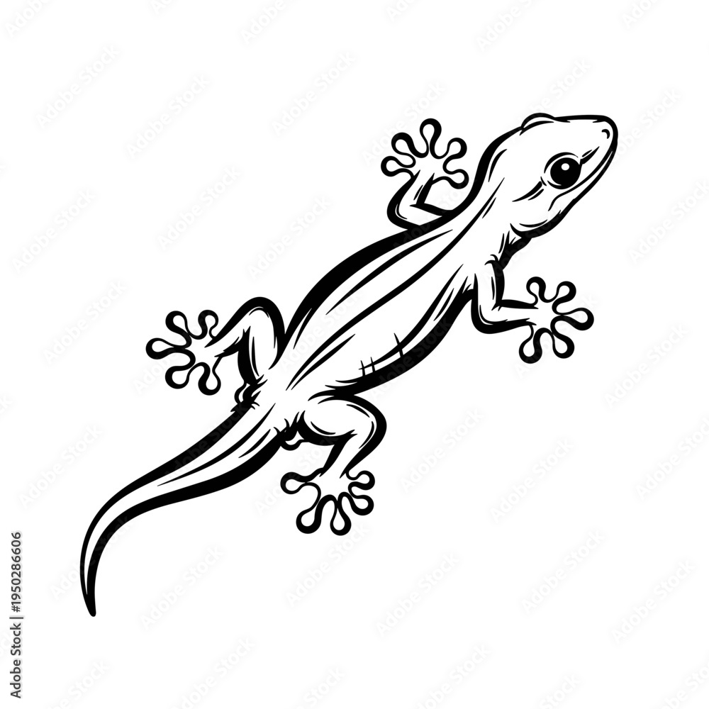 Obraz premium Gecko illustration in detailed line art style