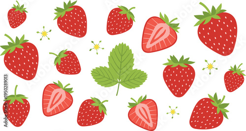 Strawberry fruit elements set. Whole strawberries, sliced berries, leaf and flowers. Fresh red berry collection for organic food design, farm packaging and summer fruit themes.