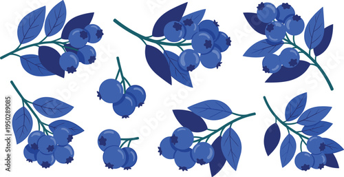 Blueberry branches vector set. Fresh berry clusters with leaves in flat style. Organic blueberry elements for healthy food design, farm packaging and natural product branding.