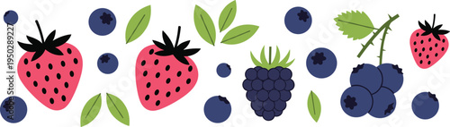 Cute berry fruit vector border. Strawberry, blueberry and blackberry with leaves. Fresh summer berries decorative illustration.