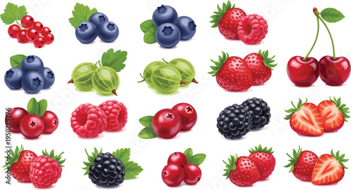 Fresh berry fruits vector collection. Strawberry, blueberry, raspberry, blackberry, cherry, gooseberry and currant set. Realistic juicy berries illustration.