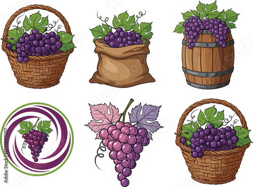 Grape harvest vector set. Baskets, barrel and sack full of purple grapes with leaves. Vineyard fruit collection for wine labels, farm packaging and organic food design.