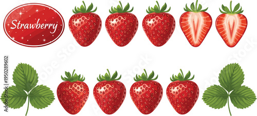 Strawberry fruit vector set with label. Fresh whole strawberries, sliced berries and leaves. Organic red berry elements for farm packaging, food branding and healthy product design.