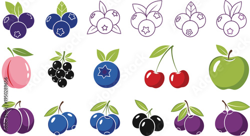 Fruit vector icon set with berries and stone fruits. Blueberries, cherries, plums, peach and apple illustrations. Cute fruit collection for food design, packaging and healthy diet themes.