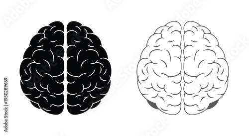 A stark visual representation showcases a human brain split into two distinct hemispheres one shaded black and the opposite gray
