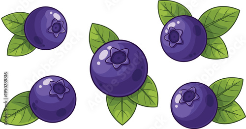 Blueberry fruit vector set with leaves. Fresh ripe blueberries isolated. Organic berry elements for healthy food design, farm packaging and natural ingredient branding.