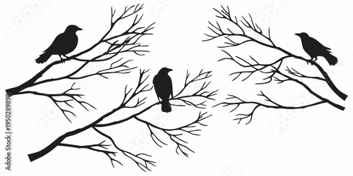 Three black birds sitting on bare tree branches
