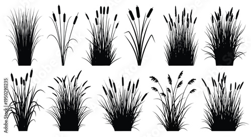 A collection of black silhouettes depicts various cattails and tall grasses growing in wetland environments high quality professional detailed