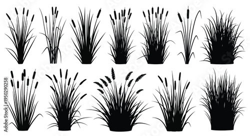 A collection of silhouettes depicting various wetland plants and grasses against a plain white background high quality professional detailed