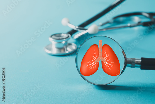 Pulmonology and respiratory system diagnosis concept. Stethoscope with magnifying glass focusing on red human lungs symbol. Lung disease, asthma, and pneumonia health checkup.