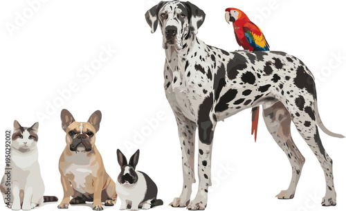 Domestic pet animals collection featuring Great Dane dog, cats, rabbits and colorful parrot sitting together hand drawn vector illustration isolated on light background