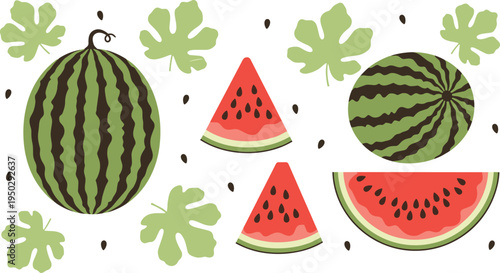 Watermelon vector fruit set. Whole and sliced watermelon pieces with seeds. Fresh summer fruit illustration with green leaves isolated design.