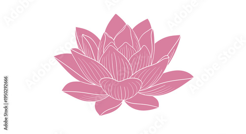 A delicate illustration depicts a vibrant pink lotus flower with layered petals symbolizing purity and rebirth high quality professional