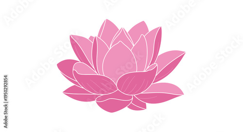 A vibrant stylized illustration depicts a blooming pink lotus flower with layered petals showcasing delicate lines high quality professional