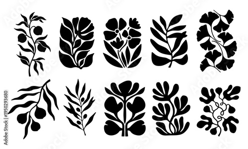 Hand drawn black botanical leaf and flower silhouette collection set