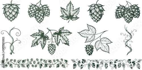 11-Piece Vintage Hop Vector Elements Kit, Engraved Botanical Bundle for Craft Beer Brewery Label and Packaging
