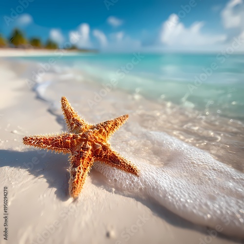 Starfish on Sandy Beach with Calm Ocean and Blue Sky Background