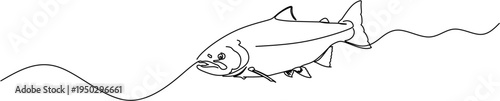 Continuous line drawing of a salmon fish swimming, minimalist aquatic animal vector art
