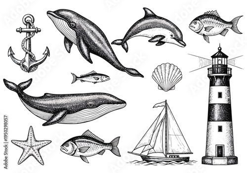 Vintage Engraved Marine Life and Nautical Elements Vector Set: Hand-Drawn Whale, Dolphin, Fish, Lighthouse, Anchor, Sailboat, Shell, and Starfish Illustrations