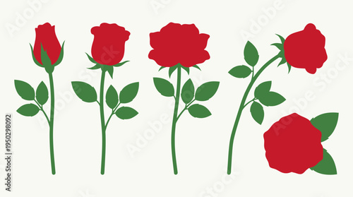 Vector illustration set of red roses in various stages of bloom, from closed bud to fully open flower, with stems and leaves.
