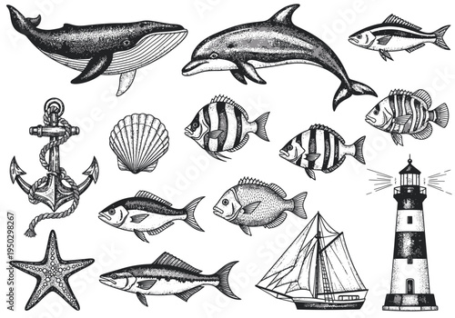Vintage Engraved Ocean Life and Nautical Elements Vector Set with Whale, Dolphin, Fish, Anchor, Lighthouse, and Seashell for Marine Design