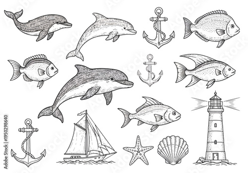 Set of 14 Hand-Drawn Marine Life and Nautical Elements Vector Illustrations: Dolphins, Fish, Anchors, Lighthouse, Sailboat, Starfish, and Seashell for Ocean-Themed Designs