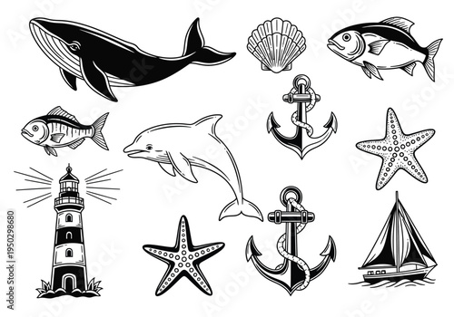 Set of 12 Hand-Drawn Marine Life and Nautical Elements Vector Illustrations: Whale, Dolphin, Fish, Starfish, Shell, Anchor, Lighthouse, and Sailboat for Ocean-Themed Designs