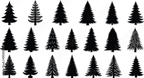 Vector collection of black pine tree silhouettes featuring various evergreen spruce and fir shapes for forest nature, Christmas, and outdoor landscape graphic design
