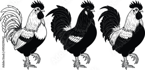 Vintage hand drawn rooster vector illustration collection, black and white farm animal sketch set, rustic poultry chicken silhouettes isolated on white background design