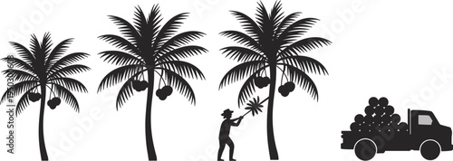 Coconut palm tree harvesting silhouettes, farmer collecting tropical fruit vector illustration isolated on white background