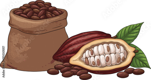 Coffee beans in burlap sack with cacao pod, cocoa seeds and green leaves, organic agriculture illustration for food industry