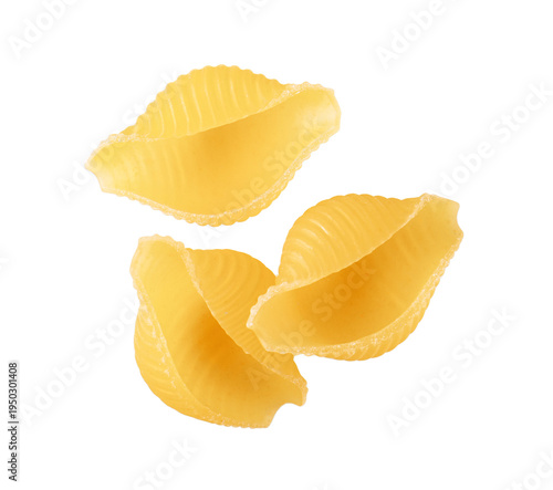 Dry yellow shell pasta conchiglie isolated on transparent background