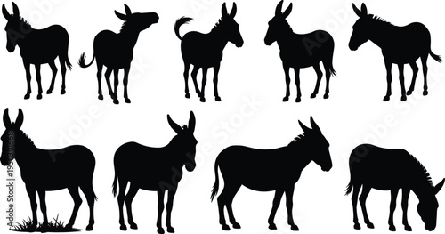 Collection of donkey silhouettes in various poses, grazing, standing, walking, tail positions, animal shapes, farm livestock illustration