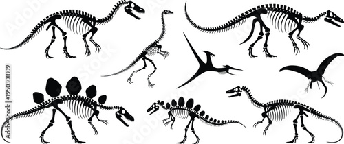 Collection of stylized dinosaur skeleton illustrations featuring diverse prehistoric species including Stegosaurus, Pterosaurs, and long‑necked sauropods