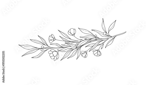 A delicate floral branch illustration with leaves and buds in a minimalist line art style