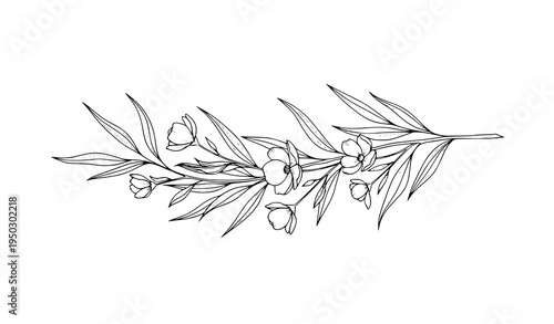 A delicate floral branch illustration with leaves and buds in a minimalist line art style