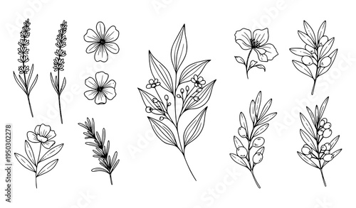 A set of minimalist botanical illustrations featuring various flowers and leaves