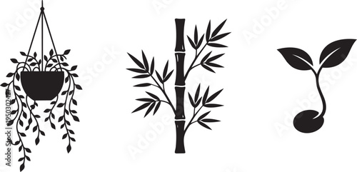 Collection of three simple botanical line art illustrations: hanging plant, bamboo stalk, and seedli