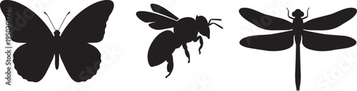 Silhouette graphic illustrations of three insects: butterfly, moth and dragonfly