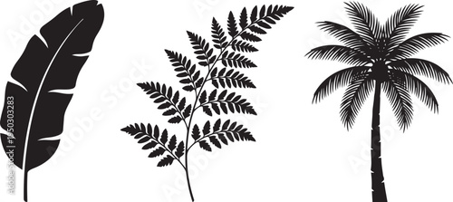 Silhouette illustrations of three tropical plants: banana leaf, fern, and palm tree