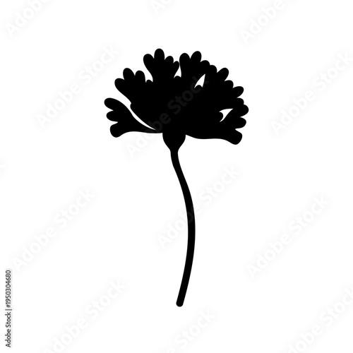 Black silhouette of a flowering plant with a long and slender stem