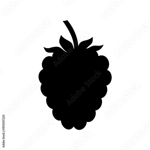A minimalist and eye catching silhouette of a delicious blackberry on white