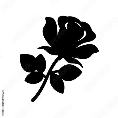 Striking monochrome silhouette of a blossoming rose with leaves on stem