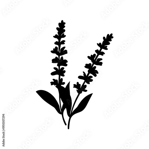 Elegant Black Silhouette of Lavender Stalks Against a Clean White Background