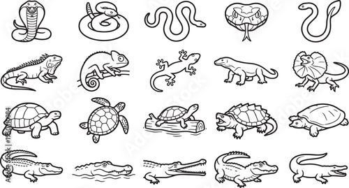 Collection of intricate and illustrative monochrome depictions of reptiles. Depicting a diverse assortment of snakes, lizards, turtles, and alligators.