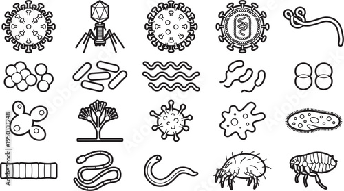 Microscopic world: A graphic representation of various microorganisms, including viruses, bacteria, and parasites, showcases their diverse structures and forms.