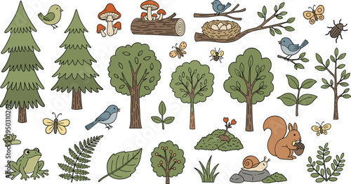 Cute woodland forest elements collection with trees, birds, squirrel, frog, mushrooms, leaves and insects hand drawn vector illustration set