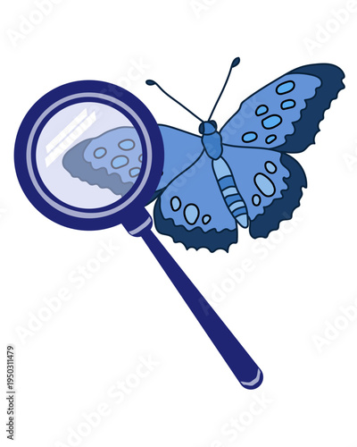 Vector illustration of a blue butterfly viewed through a magnifying glass, Hand-drawn doodle style image